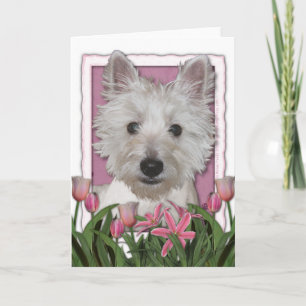 Mothers Day - Pink Tulips - Westie Card