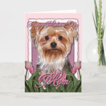 Mothers Day - Pink Tulips - Yorkshire Terrier Card by FrankzPawPrintz at Zazzle