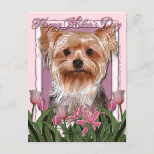 Mothers Day _ Pink Tulips _ Yorkshire Terrier Postcard