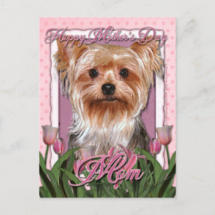 Mothers Day - Pink Tulips - Yorkshire Terrier Postcard