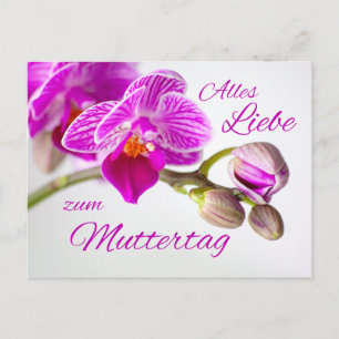 Mother's Day Postcard