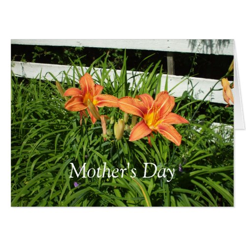Mothers Day Pretty Orange Tiger Lilies Card