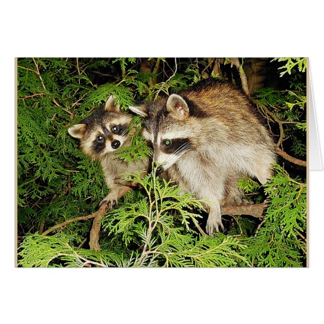 Mother's Day Raccoons Card (Front Horizontal)
