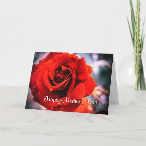 Mothers Day Raindrops Red Rose Card