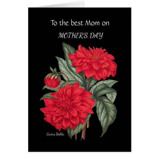 Mother's Day Red Cactus Dahlia Cards (Front)