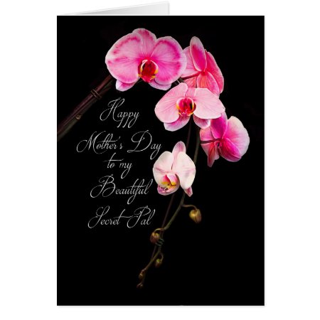 MOTHER'S DAY - SECRET PAL/SISTER - FUCHSIA ORCHIDS CARD