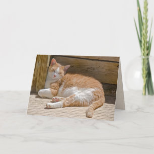 Mother's Day Tabby Cat Nap Card