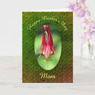 Mother's Day Thank You Mom Columbine Flower Card