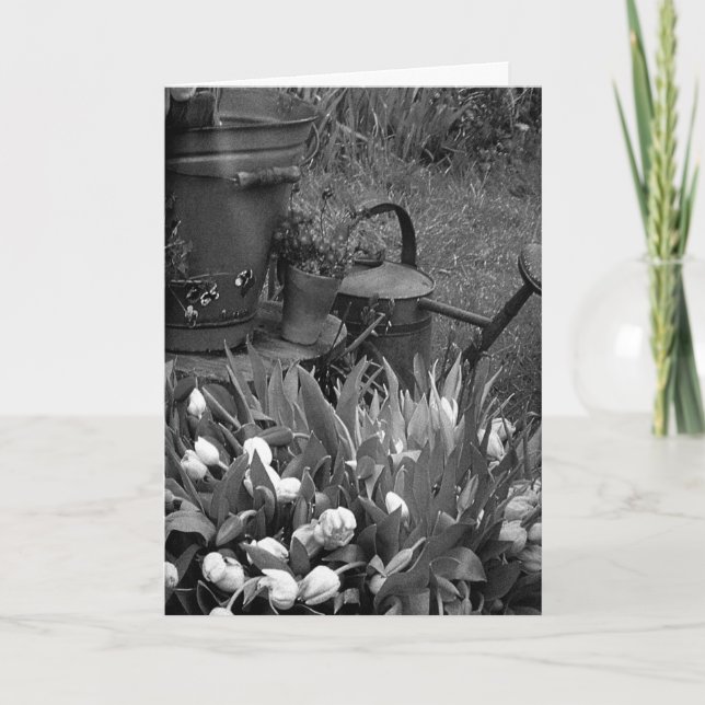 MOTHERS DAY TO A SPECIAL LADY IN YOUR LIFE CARD (Front)