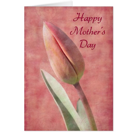 Mother's Day Tulip Cards (Front)