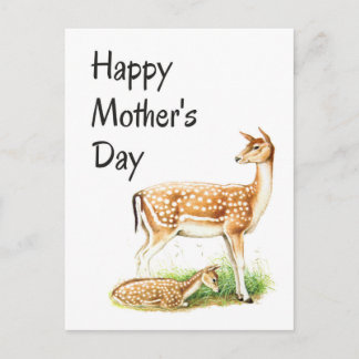 Mother's Day, Vintage Deer Mom and Baby Postcard