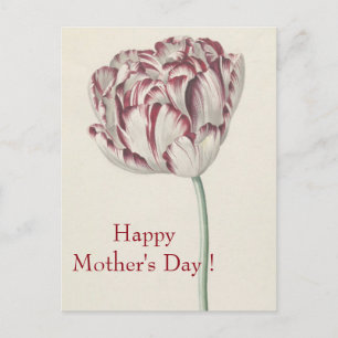 Mother's Day - Vintage Fine Art White & Red Tulip Postcard