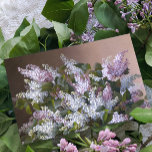 Mother's Day Vintage Lilacs Card<br><div class="desc">Vintage painting of lilacs</div>
