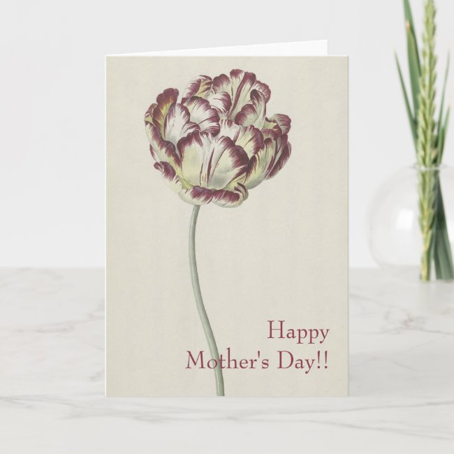 Mother's Day - Vintage yellow & red tulip Card