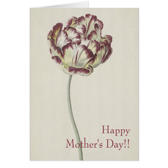 Mother's Day - Vintage yellow & red tulip Card