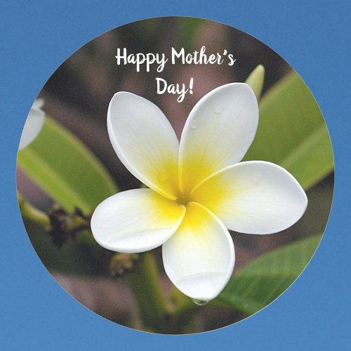 Mothers Day Yellow and White Plumeria Flower Photo Classic Round Sticker