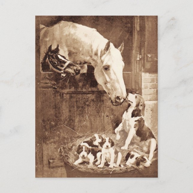 Mothers greeting each other postcard (Front)