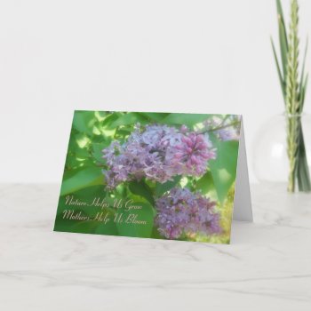 "mothers Help Us Bloom" Lilac Mother's Day Card by time2see at Zazzle