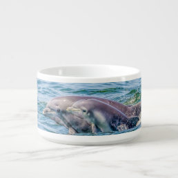 Mother&#39;s Love Dolphin &amp; Baby Bowl