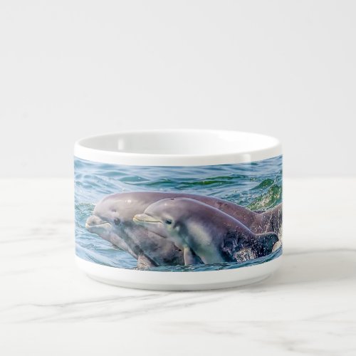 Mothers Love Dolphin  Baby Bowl
