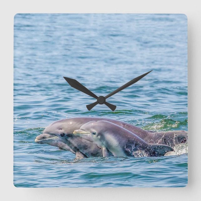 Mother's Love Dolphin & Baby Clock (Front)