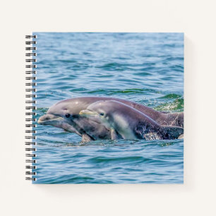 Mother's Love Dolphin & Baby Notebook