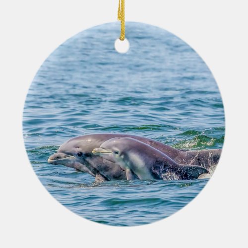 Mothers Love Dolphin  Baby Ornament
