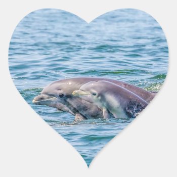 Mother's Love Dolphin & Baby Stickers by Winterwoodphoto at Zazzle