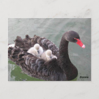 Mothers Love Postcard