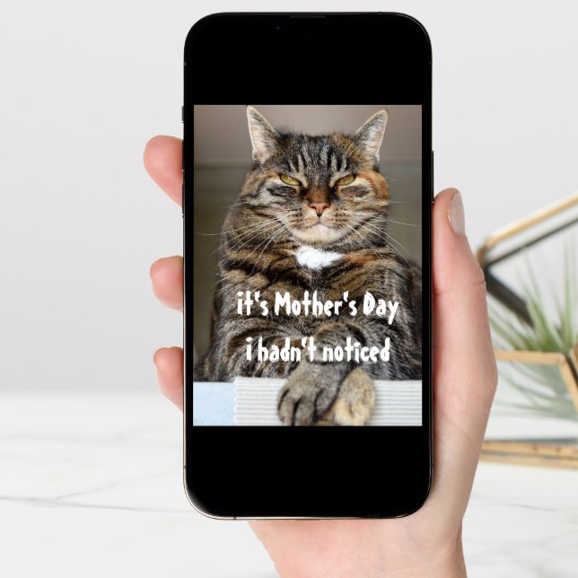 Mothers' s Day From Cat Funny Cute Card (Front Digital)