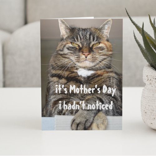 Mothers s Day From Cat Funny Cute Card