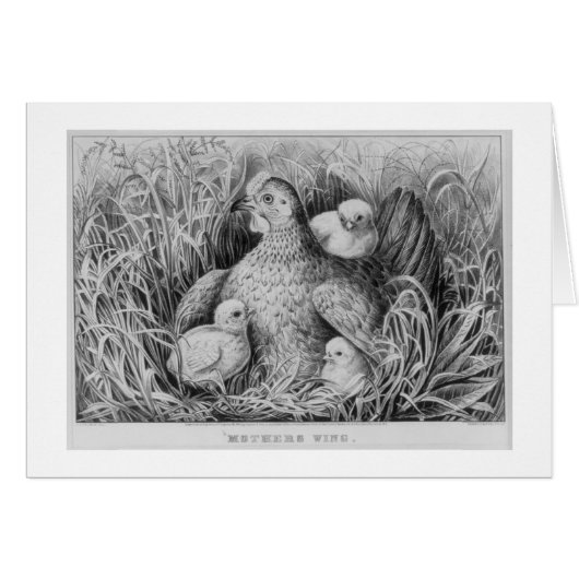 &,mothers wing cards (Front Horizontal)