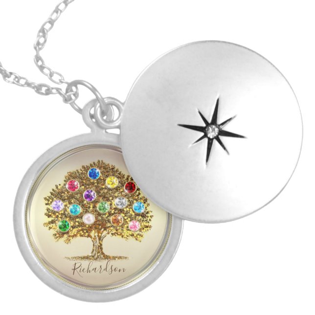 Mothes day gift jewelry, birthstone Family Tree Locket Necklace (Front)