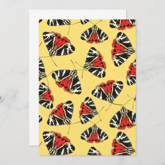 Moths 3 (Front/Back)