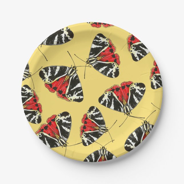 Moths 3 paper plates (Front)