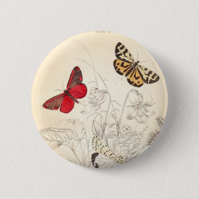 Moths and Butterflies Pinback Button (Front)