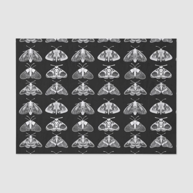 Moths in Black, White and Gray  Tissue Paper (Front)