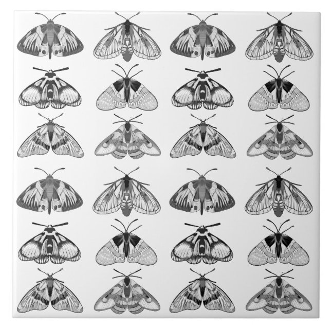 Moths in Gray, Black and White  Ceramic Tile (Front)