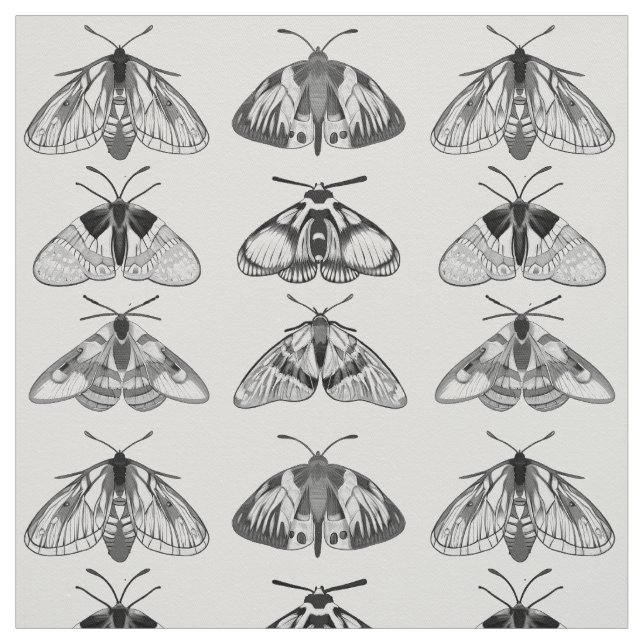 Moths in Gray, Black and White  Fabric (Swatch)