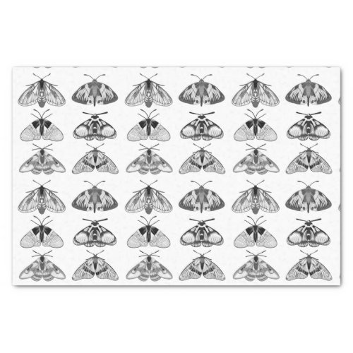Moths in Gray Black and White Tissue Paper