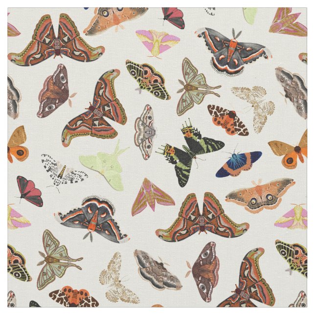 Moths insects beautiful nature fabric (Close Up)