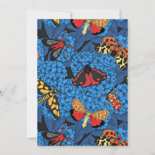 Moths on blue hydrangea