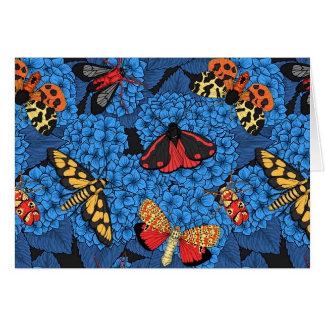 Moths on blue hydrangea cards (Front Horizontal)