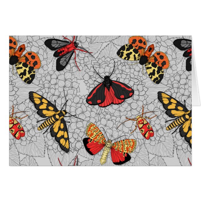 Moths on hydrangea cards (Front Horizontal)