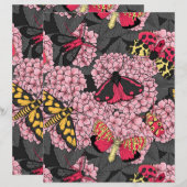 Moths on pink hydrangea (Front/Back)