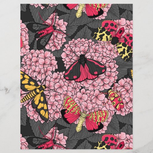 Moths on pink hydrangea (Front)