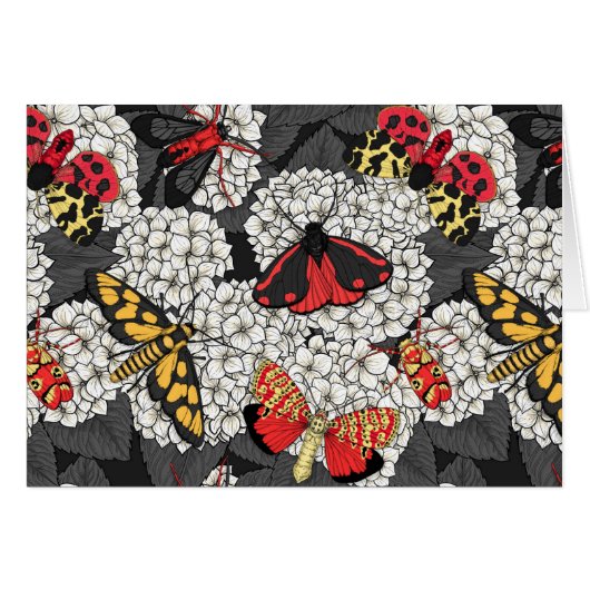 Moths on white hydrangea (Front Horizontal)