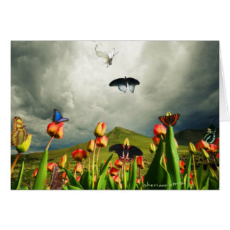 Moths & Tulips Cards