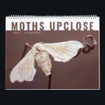 MOTHS UPCLOSE 2021 CALENDAR<br><div class="desc">This is our 2021 macrophotography calendar that nature lovers should not miss. 
Includes 12 rare examples of amazing life forms from the microcosmos  photographed using special equipment that exposes incredible micro details of the nature.</div>