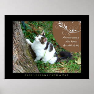 Motivation Life Lessons From a Cat Fine Art Print